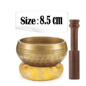 Singing Tibetan Meditation Bowl