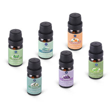 Load image into Gallery viewer, Kaze Aromatherapy Essential Oil Starter Kit by Lagunamoon