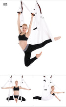 Load image into Gallery viewer, Spider Yoga Hammock