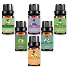 Load image into Gallery viewer, Kaze Aromatherapy Essential Oil Starter Kit by Lagunamoon